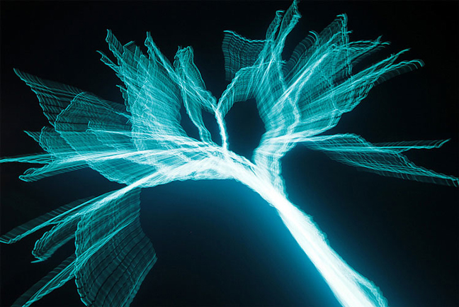 Redesigning The Tree with Electroluminescent Wire