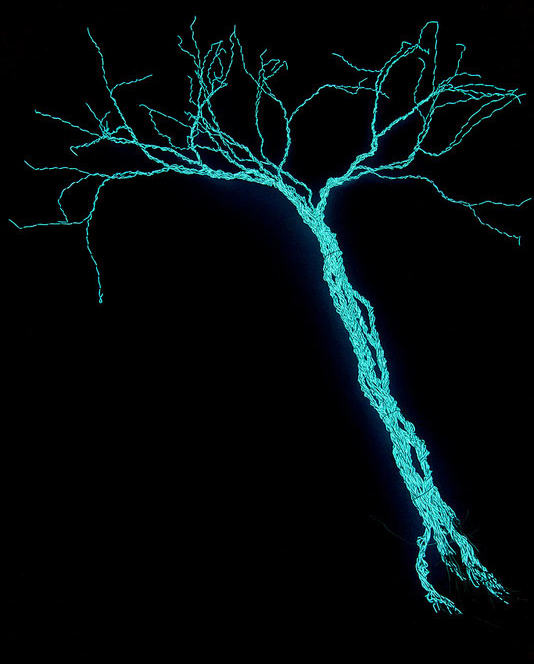 Redesigning The Tree with Electroluminescent Wire_1