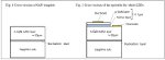 Hitachi Cable Enters The GaN-Template LED Substrate Market Using HVPE