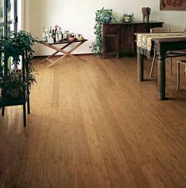 The Business of Cleaning Bamboo Floors