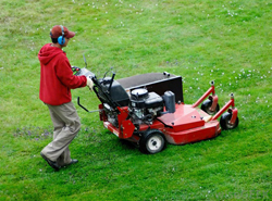 Lawn Mowers Makes Cutting Grass Less of a Chore_3