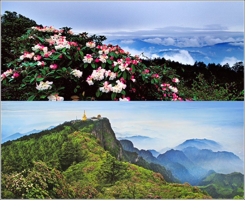 Emei Mountain Popular on May Day Holiday