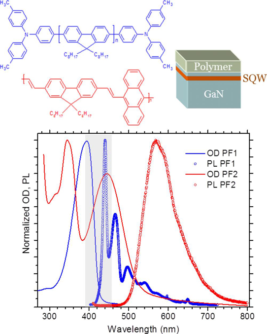 Exploring Resonant Energy Transfer From Ingan Wells to Polymers