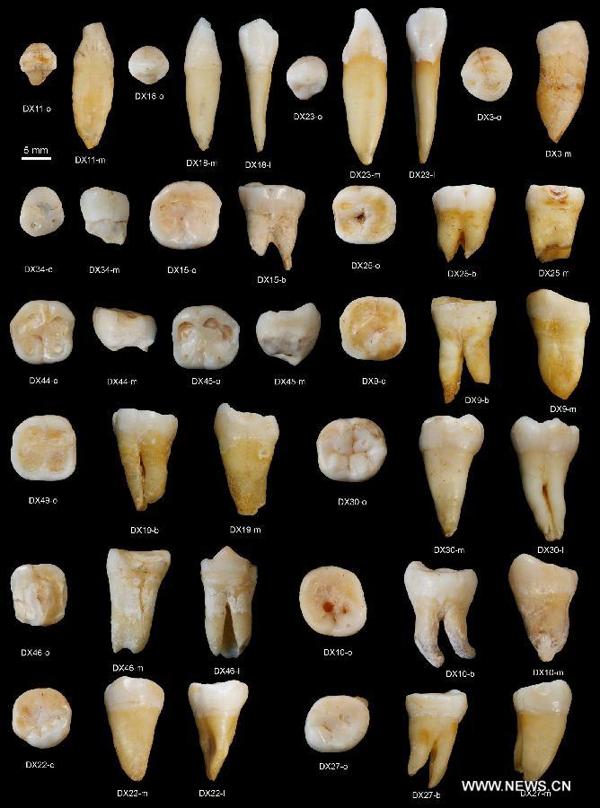Teeth Reveal Modern Humans in Asia 80,000 Years Ago_1