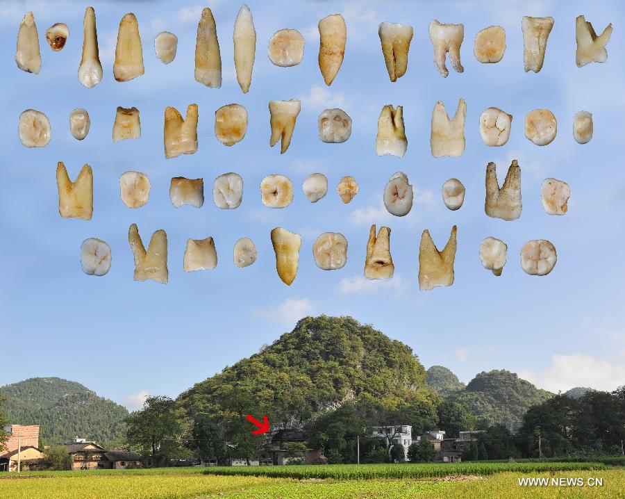 Teeth Reveal Modern Humans in Asia 80,000 Years Ago_4
