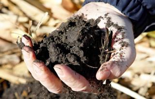 Weather Outlook: Soil Is Warming Up Early