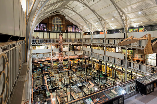 Soraa's LED Lighting Installed in University of Oxford's Pitt Rivers Museum