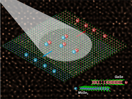 ORNL-Led Group Grows Aligned Monolayers of Lattice-Mismatched Semiconductors