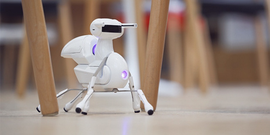 Antbo, a Buildable Insect That Helps Kids Grasp Robotics, Hits Indiegogo