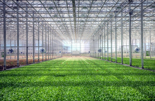 Brightfarms Raises $30.1m to Expand Greenhouses in US