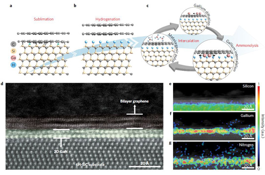 Two-Dimensional Gallium Nitride with Graphene Encapsulation