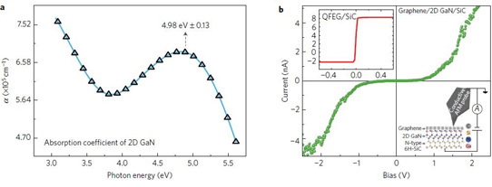 Two-Dimensional Gallium Nitride with Graphene Encapsulation_1