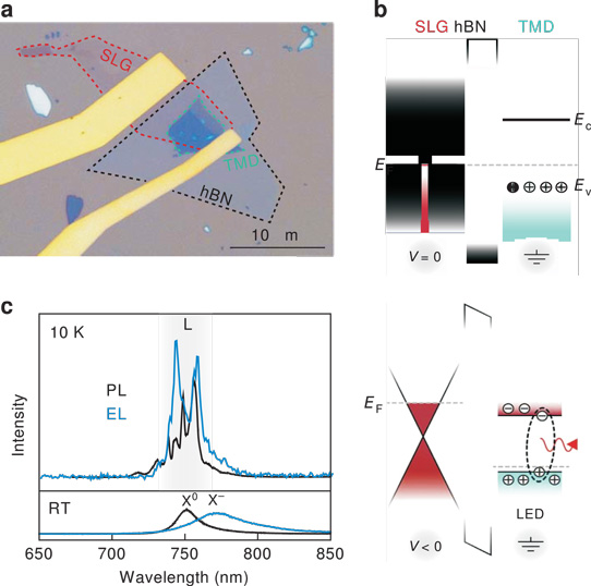 Electrically Driven Single-Photon Emission From Atomically Thin Diodes