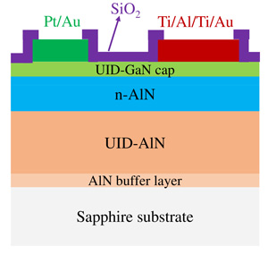 Aluminium Nitride Schottky Barrier Diodes with Breakdown More Than 1kv