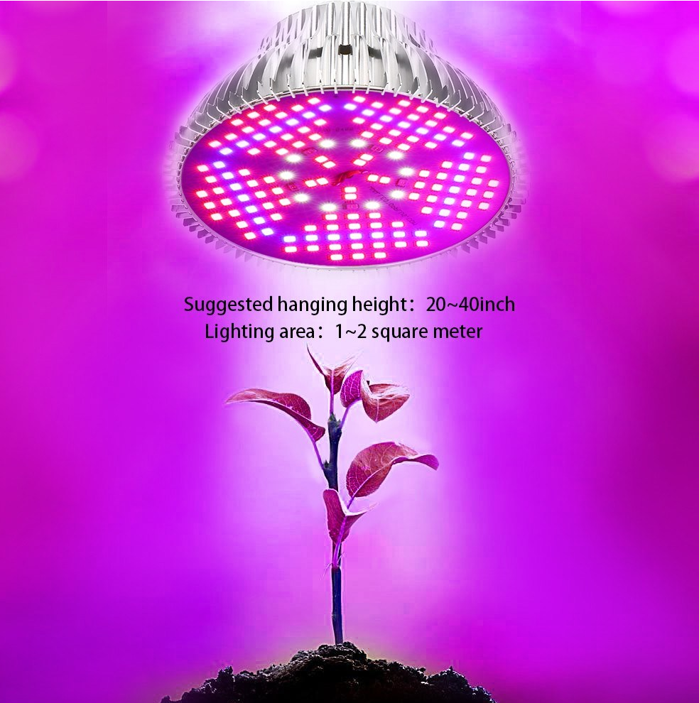 All About Grow Lights That Run on LED Technology